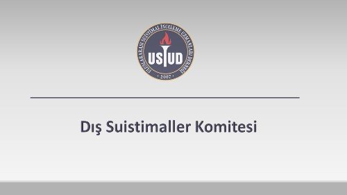 Dış Suistimaller Komitesi
