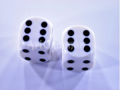 14mm Precision Dice white&black