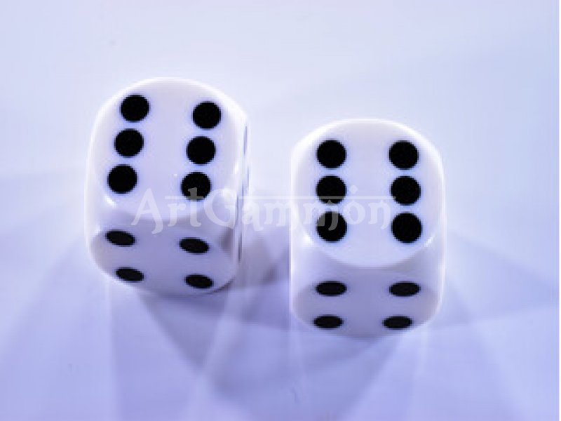 14mm Precision Dice white