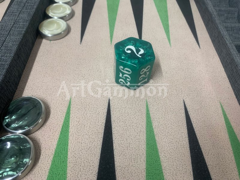 Competition Size Backgammon Set & Chrome Checkers