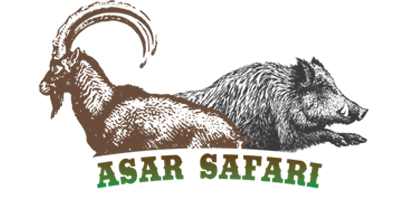 asar safari