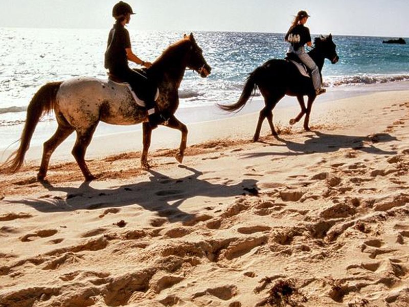 HORSE RIDING (PATARA)