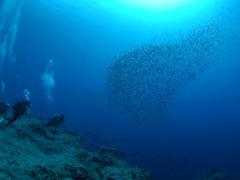 DIVING (KALKAN)