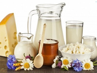 GAPS MUTFAK; Fermente Süt Ürünleri