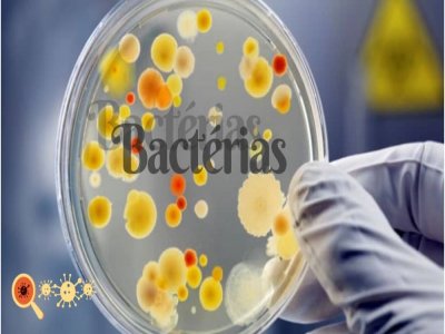 Beslenmenin Bakteri Genetiğine Etkisi Sunan: Prof. Dr. Zeynep Sümer