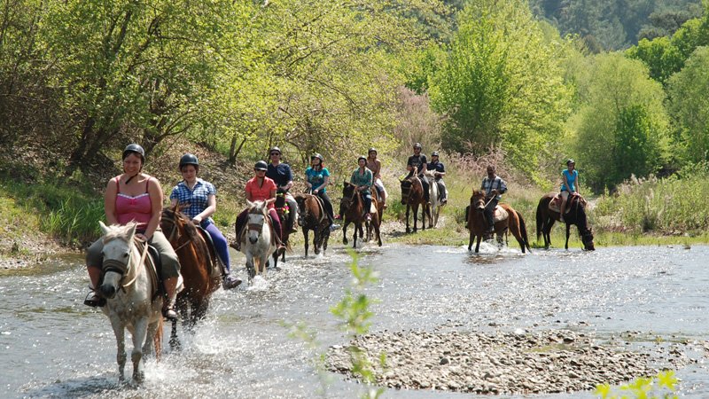 HORSE RIDING