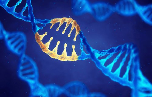 SMA (Spinal Muskuler Atrofi) Nedir?