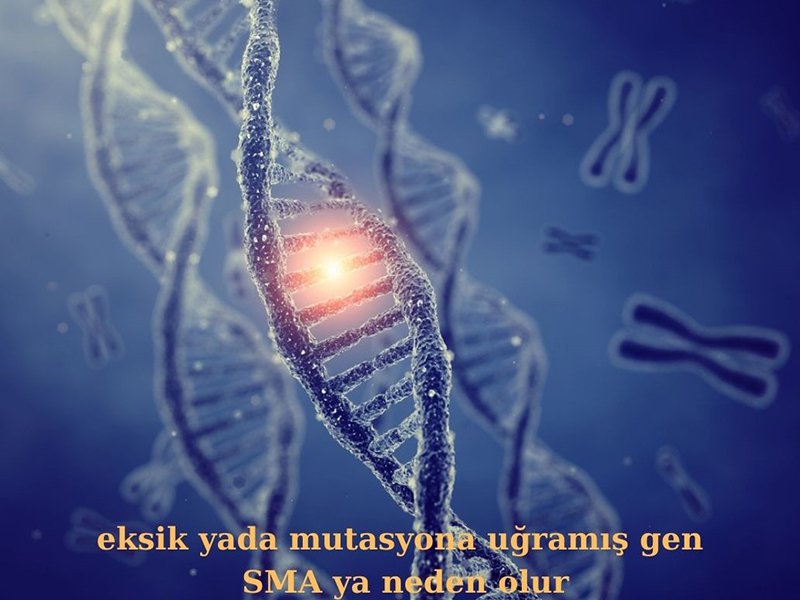SMA (Spinal Muskuler Atrofi) Nedir?